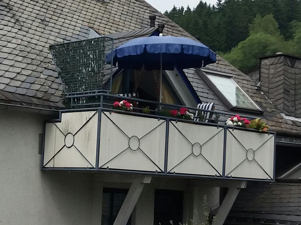Апартаменты Haus Elsholz Willingen Виллинген Экстерьер фото